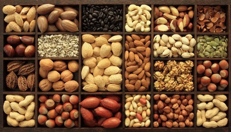 Nuts are a highly nutritious seed that should have a place in every diet!