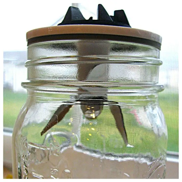 Mason Jar Blender Trick