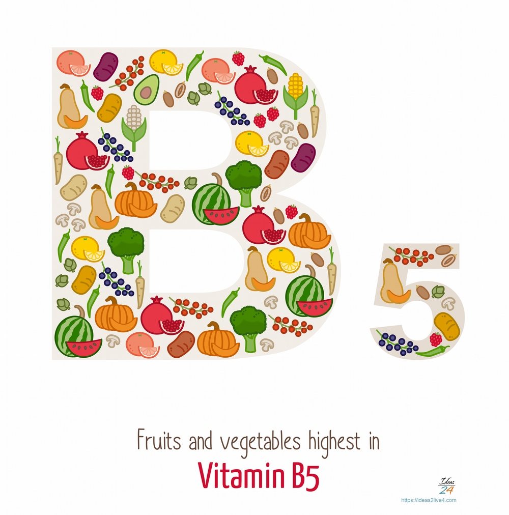 Fruits and vegetables highest in vitamin B5