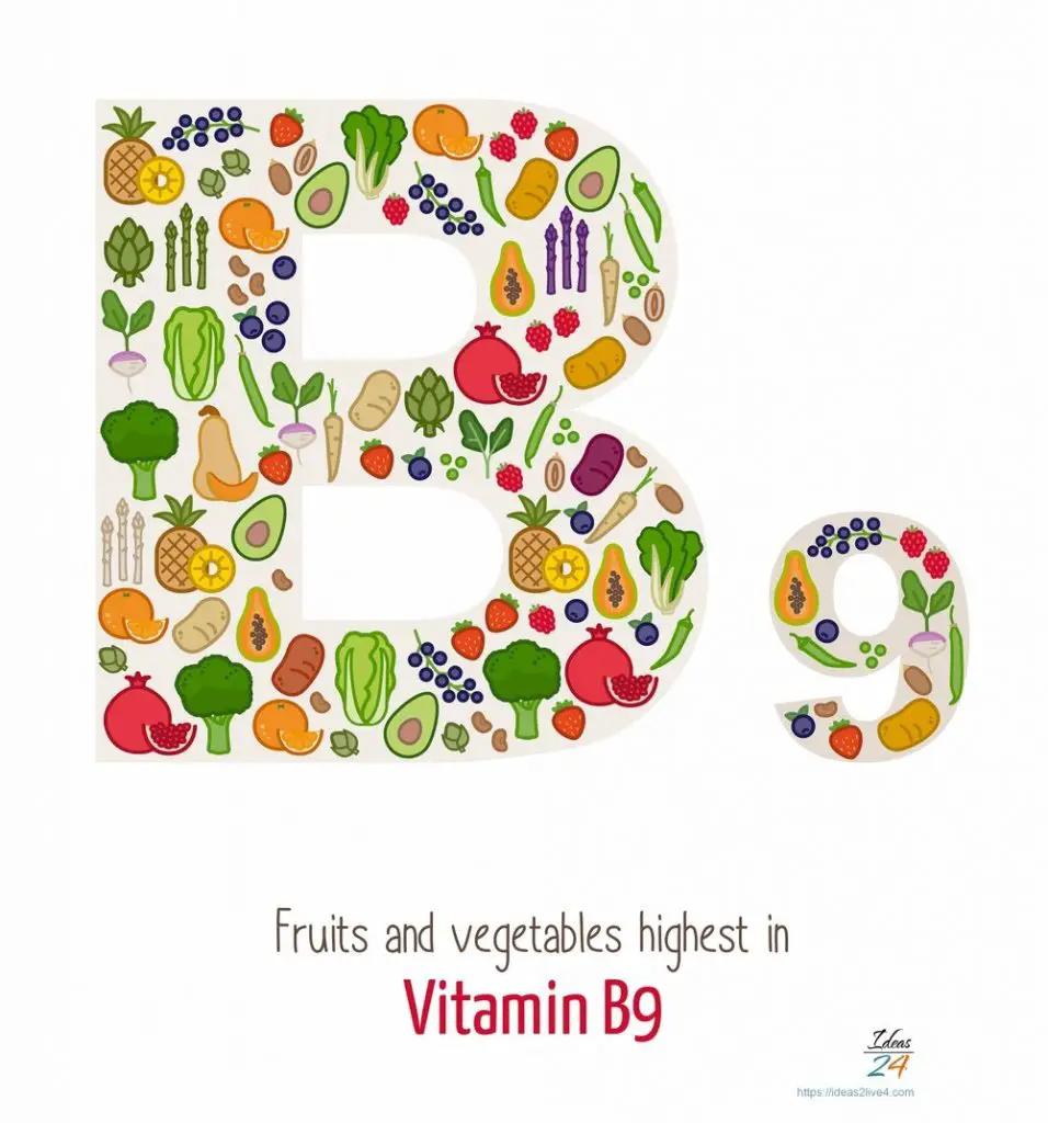 Fruits and vegetables highest in vitamin B9