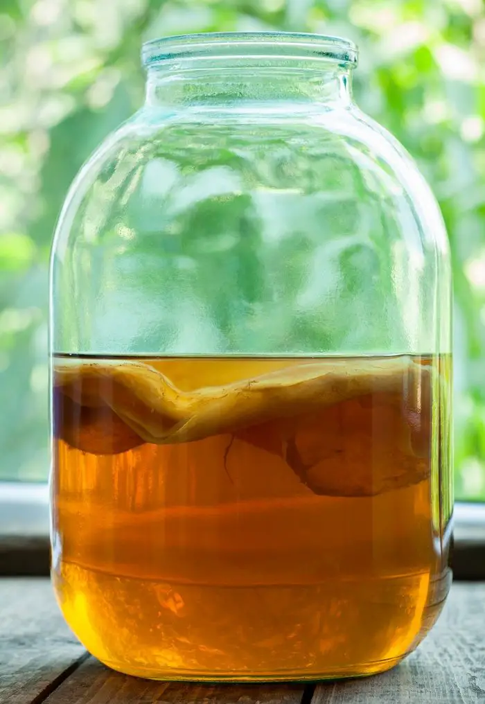 The fermentation process creates this 'tea fungus' (SCOBY)