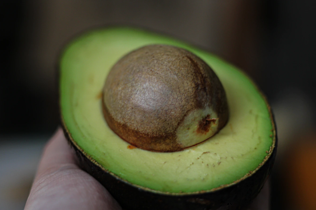 The huge seeds of an avocado are generally accepted to have evolved to prevent digestion by mega-fauna!