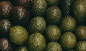 Avocados are one of nature's wonder foods!
